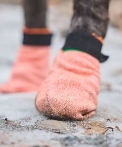 Alternative view of Non-Stop Dogwear Protector light socks