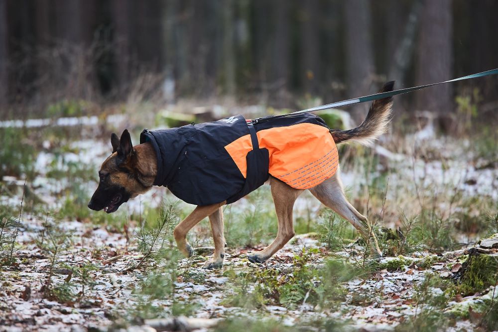 Non-stop Dogwear Glacier 2.0 - Image 7