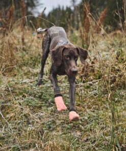 Non-Stop Dogwear Protector light socks - Image 4