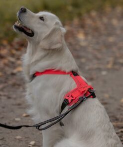 Non-stop Dogwear Ramble sele - Image 9
