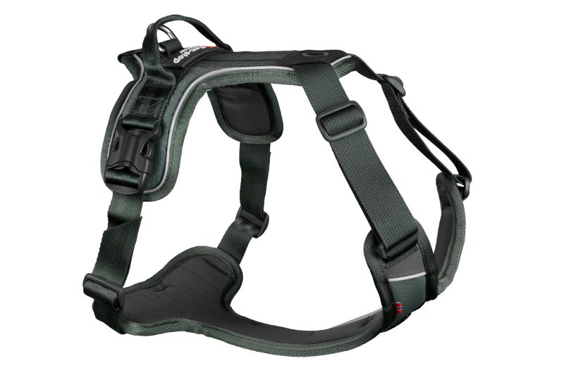 Non-stop Dogwear Ramble sele - Image 2