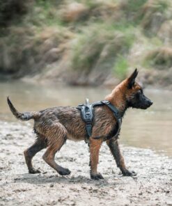 Non-stop Dogwear Ramble sele - Image 6