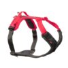 Non-stop Dogwear Ramble sele
