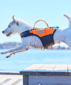 Non-stop Dogwear Protector life jacket - Image 8