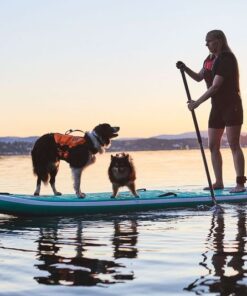 Non-stop Dogwear Protector life jacket - Image 4