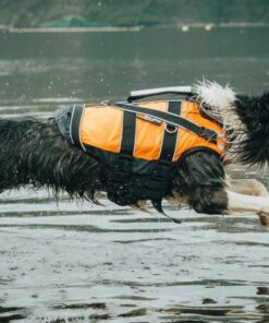 Non-stop Dogwear Safe life jacket 2.0 - Image 6