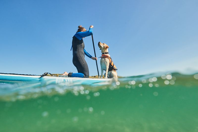 Non-stop Dogwear Safe life jacket 2.0 - Image 7