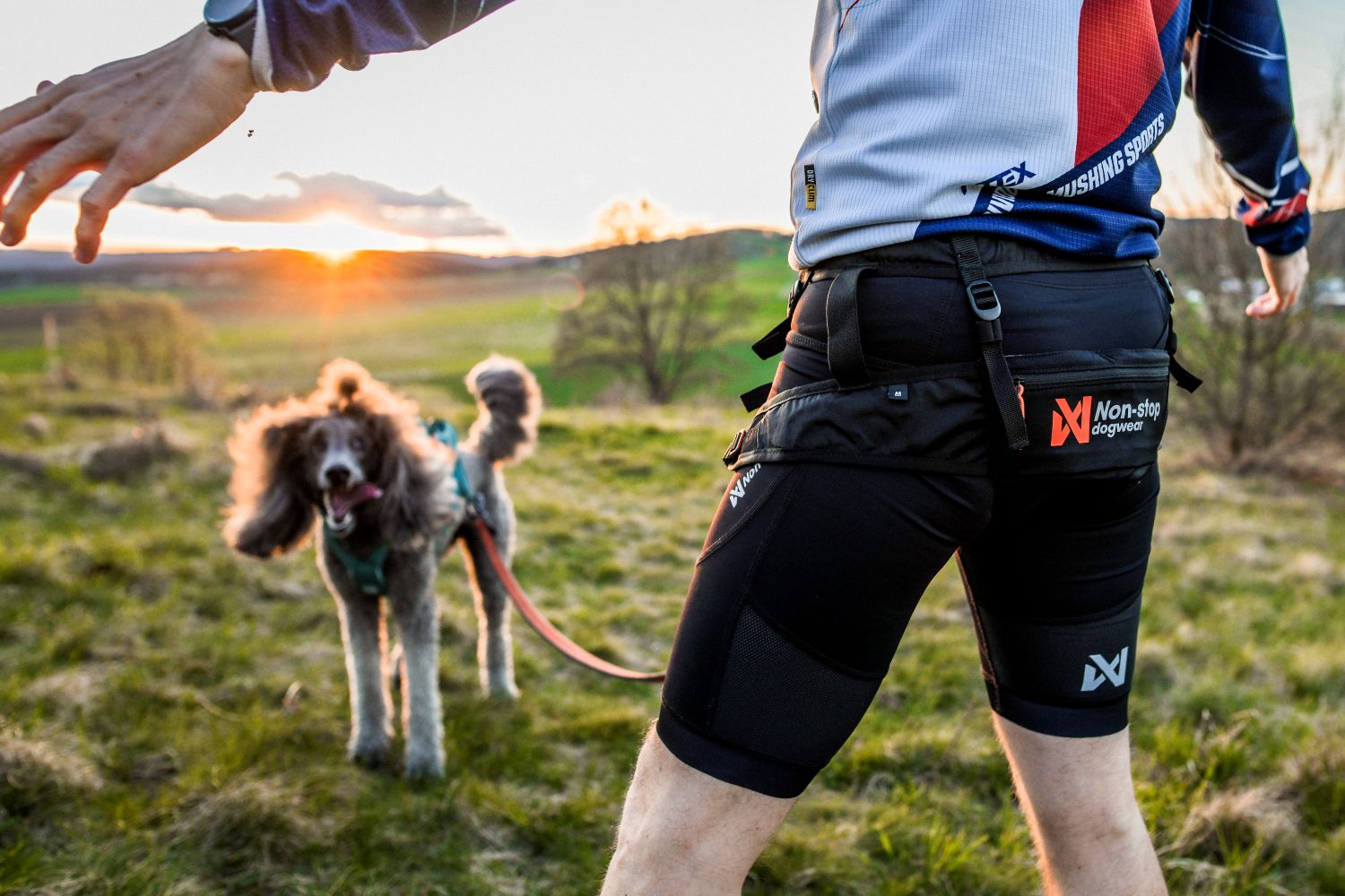 Non-stop Dogwear CaniX Belt 2.0 - Image 2
