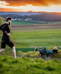Non-stop Dogwear CaniX Belt 2.0 - Image 3