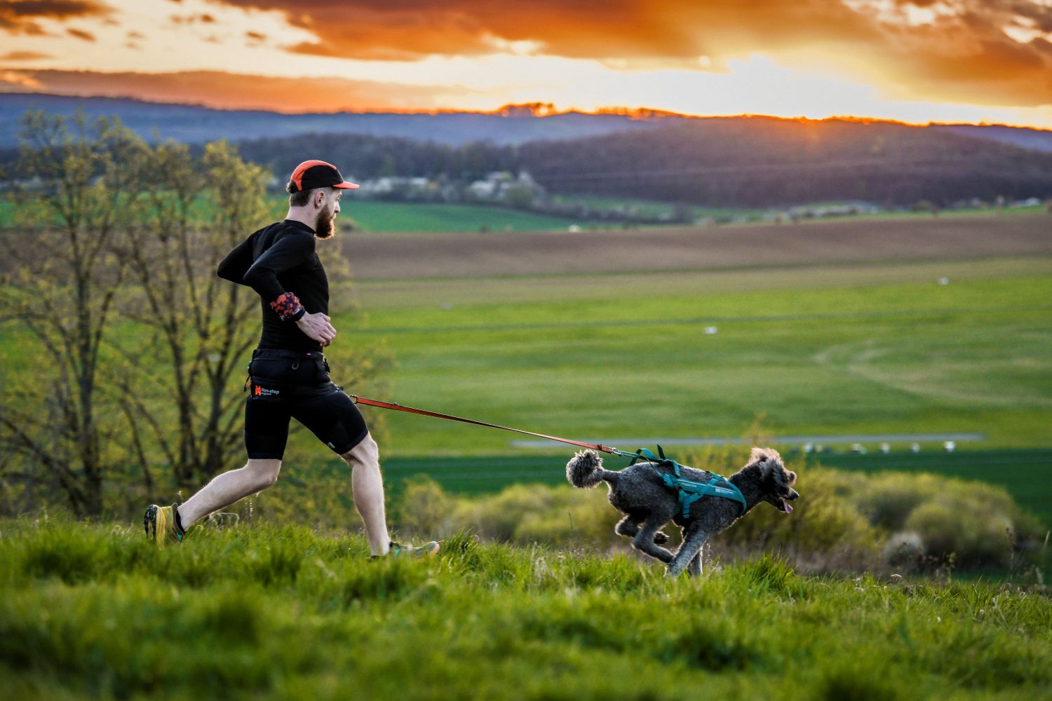 Non-stop Dogwear CaniX Belt 2.0 - Image 3