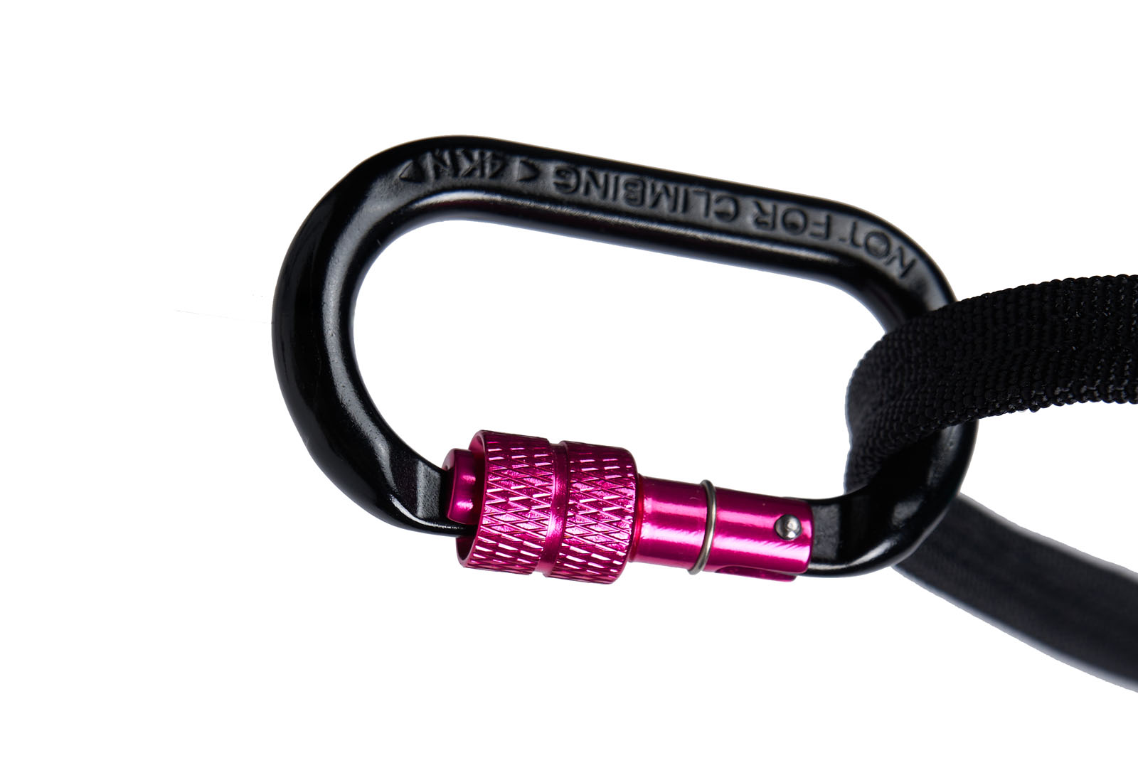 Non-stop dogwear CaniX belt 2.0 aqua - Image 9