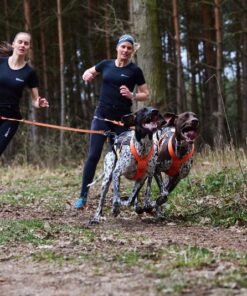 Non-stop Dogwear CaniX belt pro - Image 4