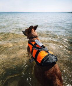 Non-stop Dogwear Safe life jacket 2.0 - Image 8
