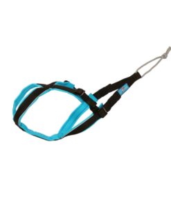 Inlandsis Open-back sele