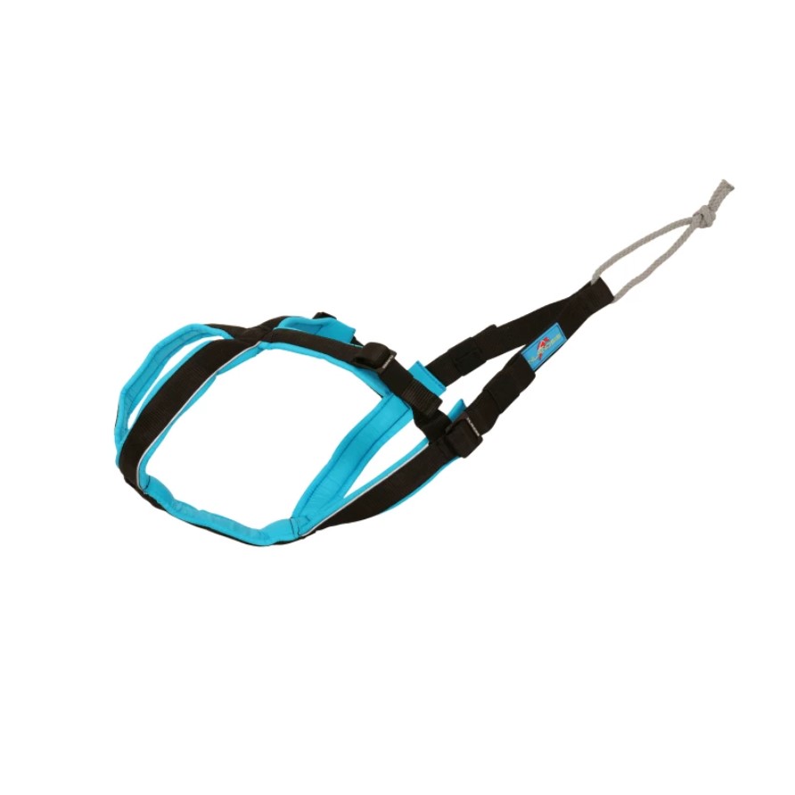 Inlandsis Open-back sele