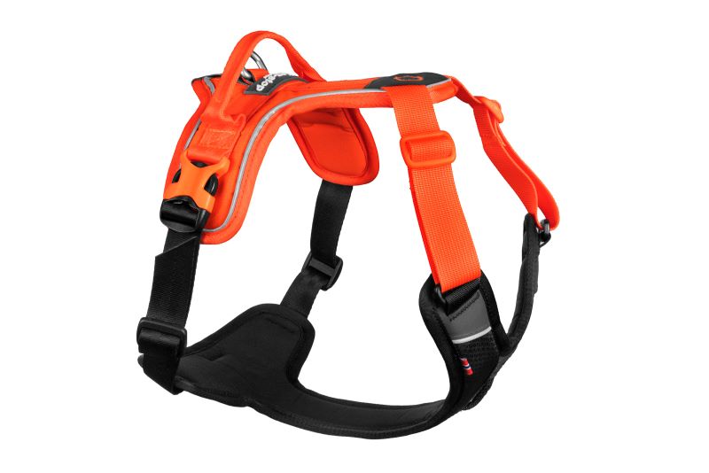 Non-stop Dogwear Ramble sele - Image 3