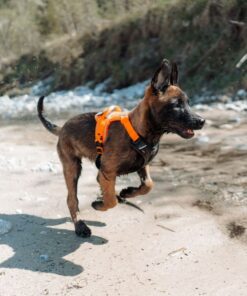 Non-stop Dogwear Ramble sele - Image 8