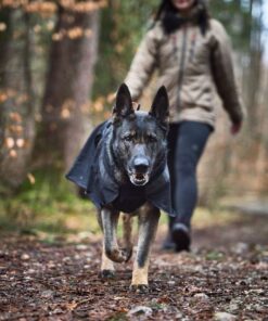 Alternative view of Non-stop Dogwear Trekking dog raincoat