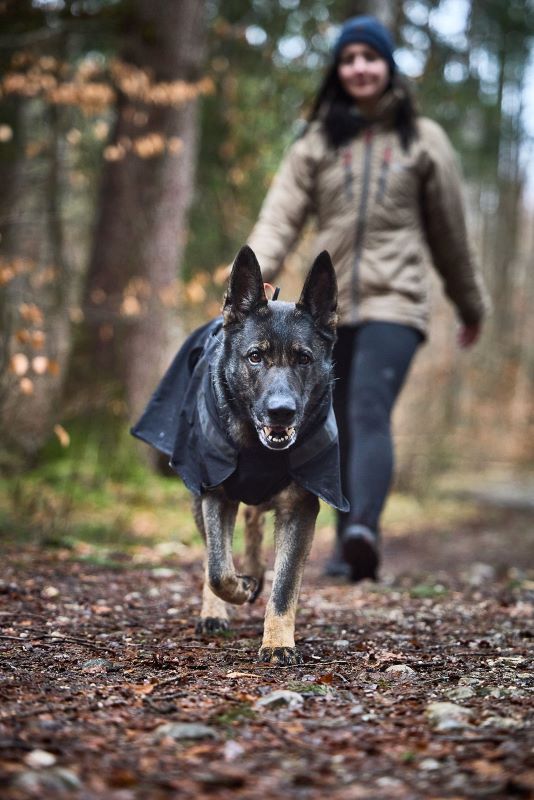 Non-stop Dogwear Trekking dog raincoat - Image 2