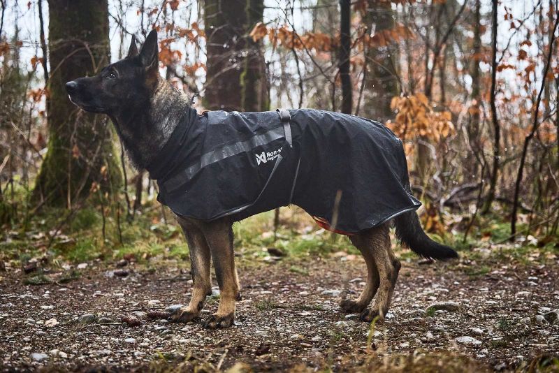 Non-stop Dogwear Trekking dog raincoat - Image 3