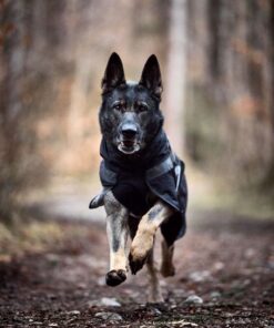 Non-stop Dogwear Trekking dog raincoat - Image 4