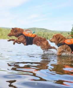 Non-stop Dogwear Protector life jacket - Image 9