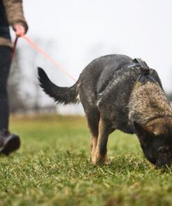 Alternative view of Non-stop Dogwear Line harness grip WD