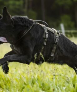 Non-stop Dogwear Line harness long WD - Image 4