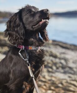 Non-stop Dogwear Tumble Collar, halsbånd - Image 5