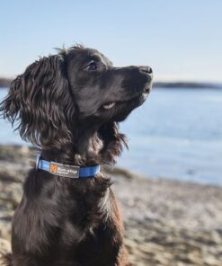 Non-stop Dogwear Tumble Collar, halsbånd - Image 6