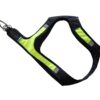 Axaeco Harness X Run