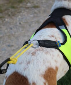 Axaeco Harness X Run - Image 4
