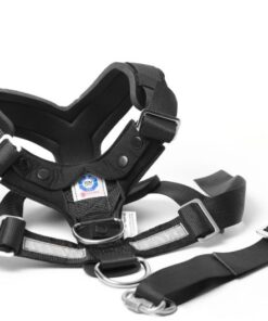 MIMsafe Allsafe Harness bilsele