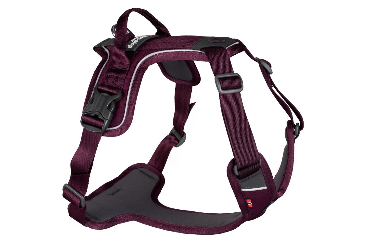 Non-stop Dogwear Ramble sele - Image 4