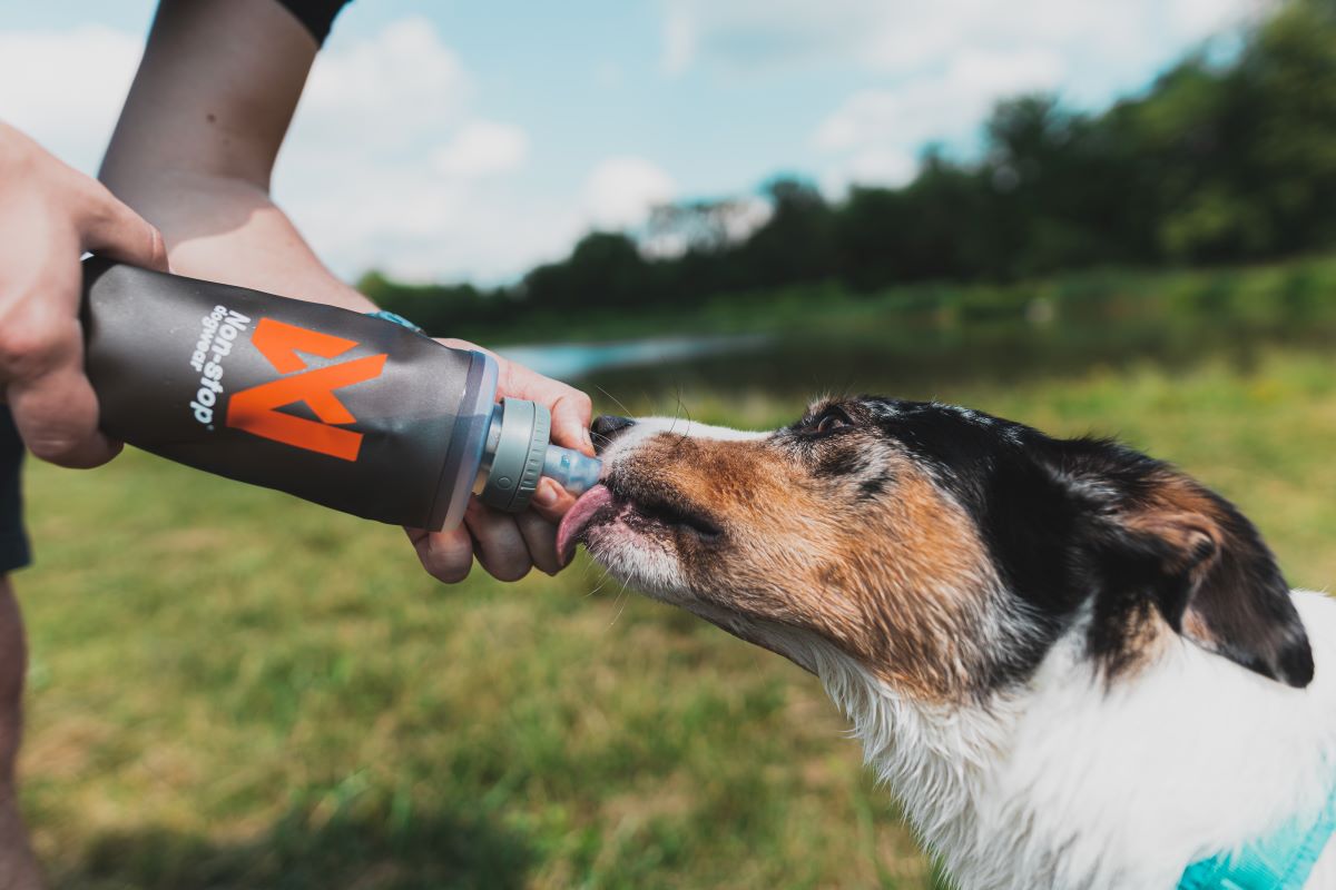 Non-stop Dogwear NS Soft flask drikkeflaske - Image 2