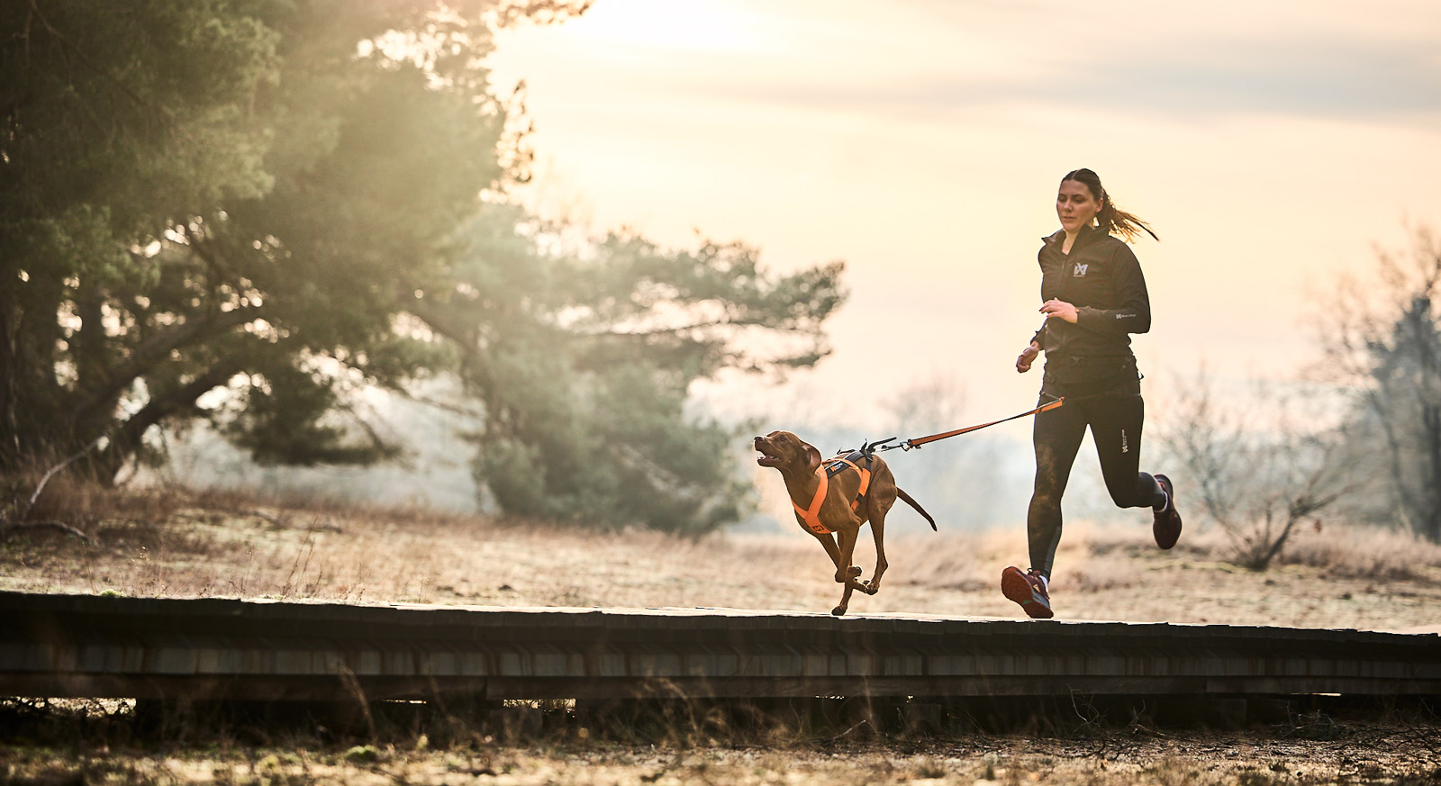 Non-stop Dogwear CaniX warm-up jacket dame - Image 6