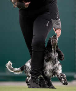 Non-stop Dogwear warm-up pants dame - Image 8