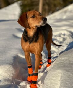 Alternative view of Non-stop Dogwear Contact bootie high