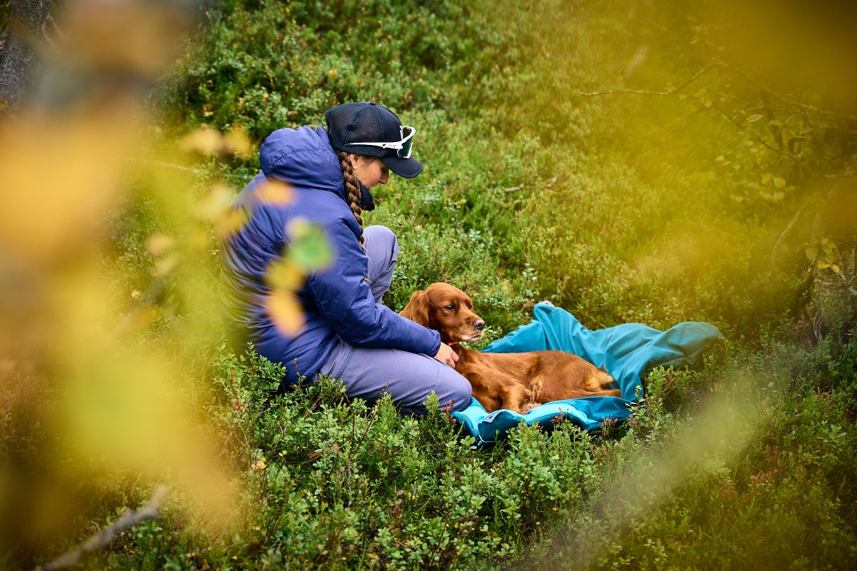 Non-stop Dogwear Trekking dog bed - Image 7