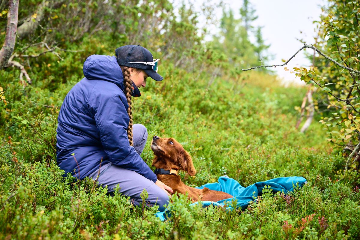 Non-stop Dogwear Trekking dog bed - Image 6