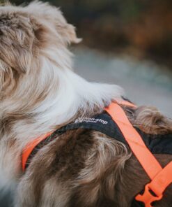 Non-stop Dogwear Rush harness - Image 5