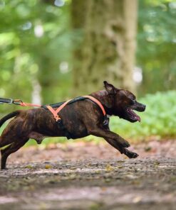 Non-stop Dogwear Rush harness - Image 6