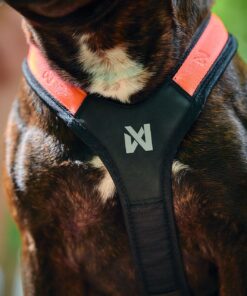 Non-stop Dogwear Rush harness - Image 7