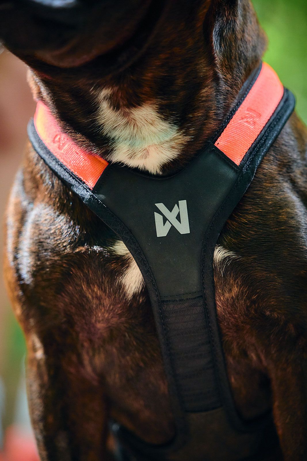Non-stop Dogwear Rush harness - Image 7