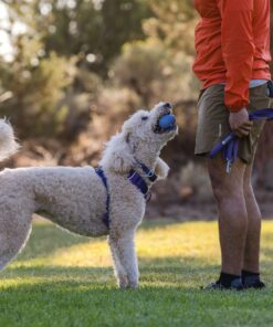 Ruffwear Turnup legetøj - Image 5