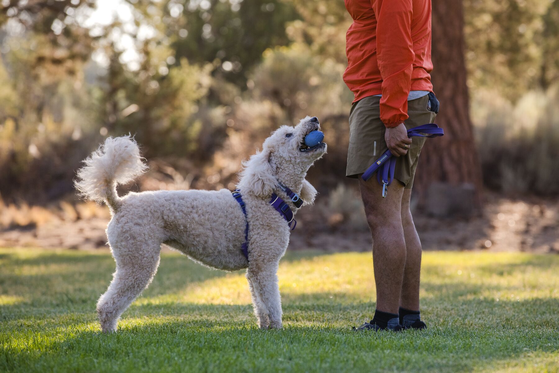 Ruffwear Turnup legetøj - Image 5