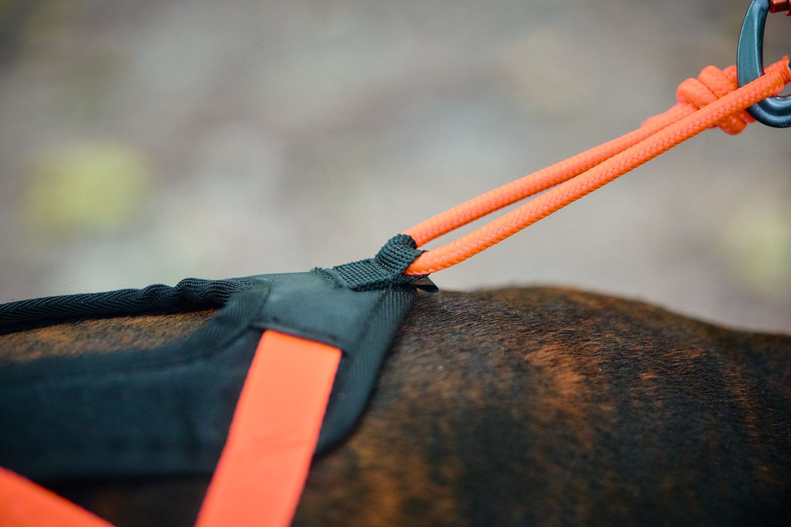 Non-stop Dogwear Rush harness - Image 8