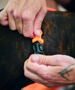 Non-stop Dogwear Rush harness - Image 9