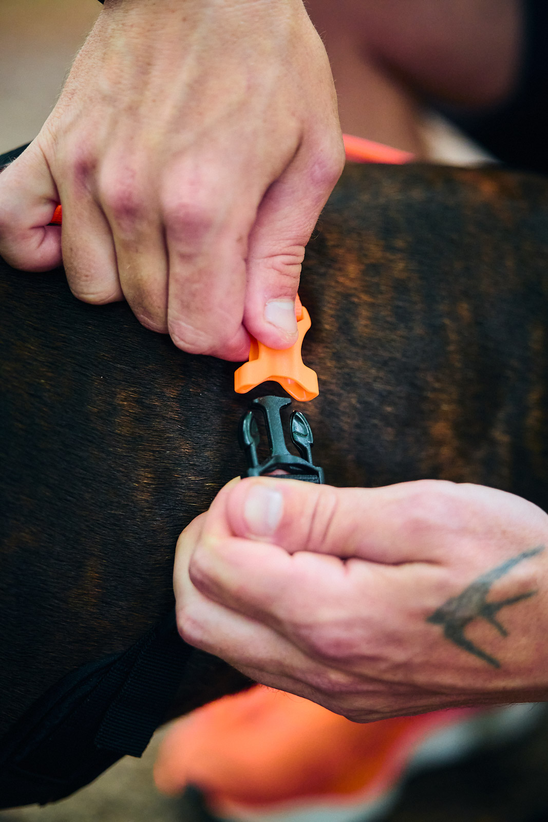 Non-stop Dogwear Rush harness - Image 9