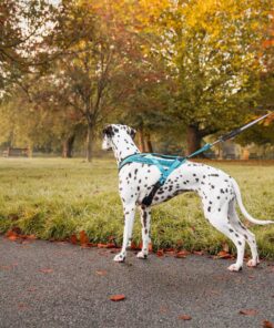 Non-stop Dogwear Rush harness - Image 3